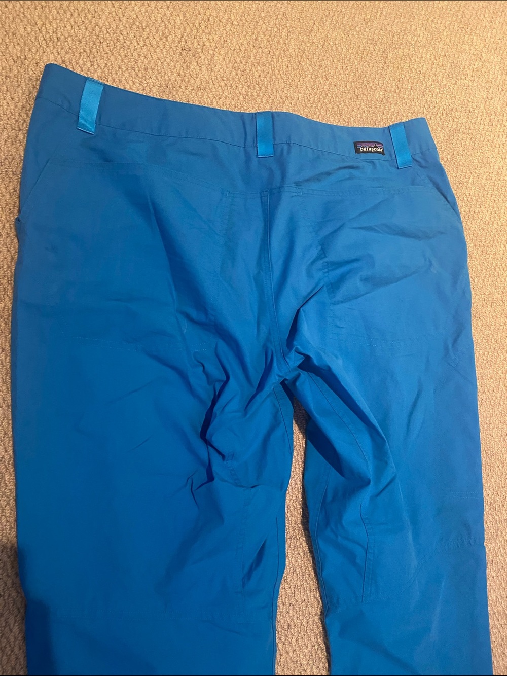 Patagonia (see description) Bright Teal Outdoor Pants